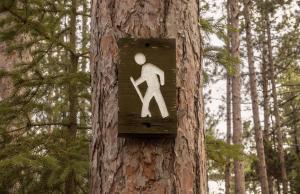 Nordic Walking @ Friedrich von Cotta-Schule
